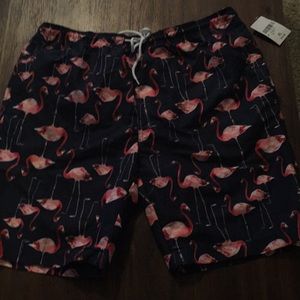 Men’s swim trunks